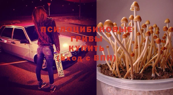 каннабис Зерноград